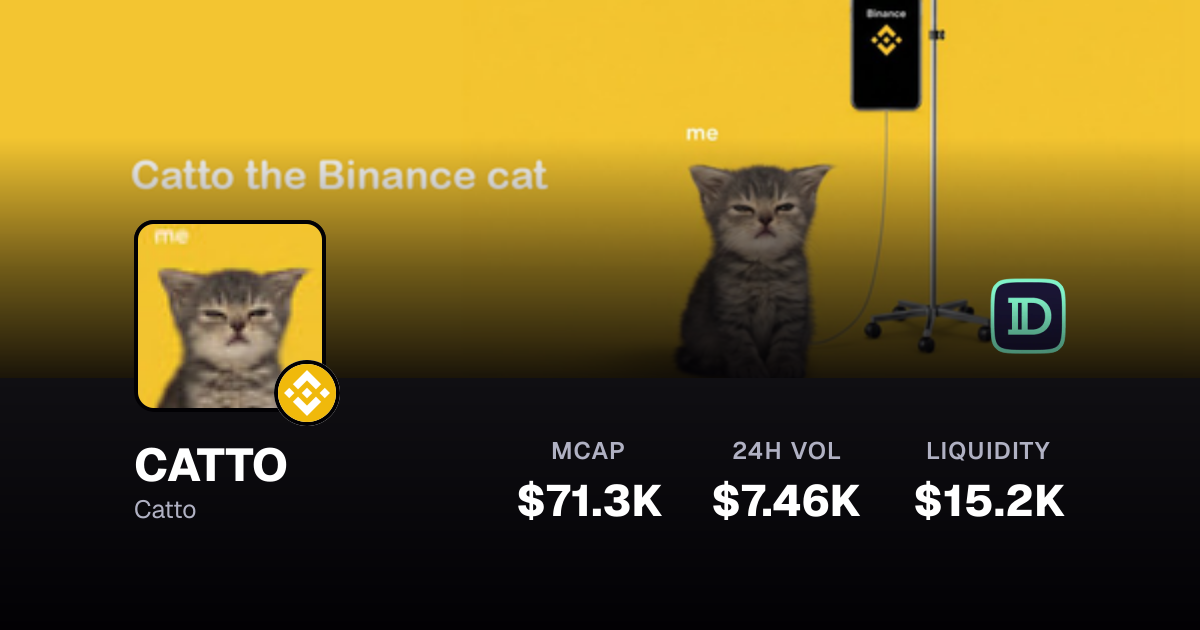CATTO $0.0₄67373 -10.8% — Catto on BNB | Defined.fi